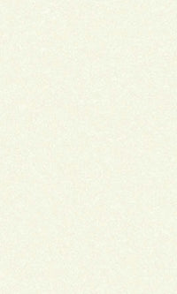 Alabster Plain Vinyl Wallpaper C7586