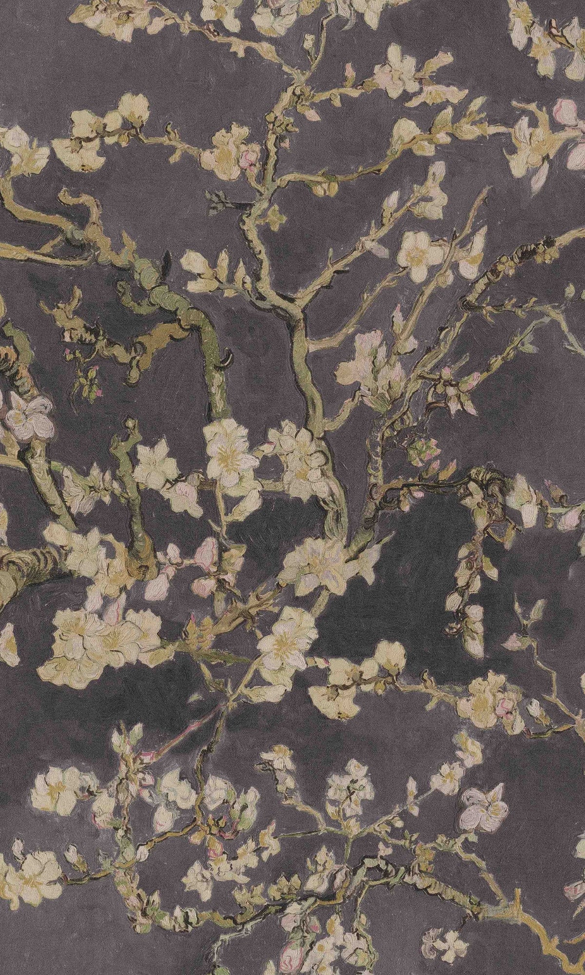 Antharcite Almond Blossom Floral Wallpaper R8492