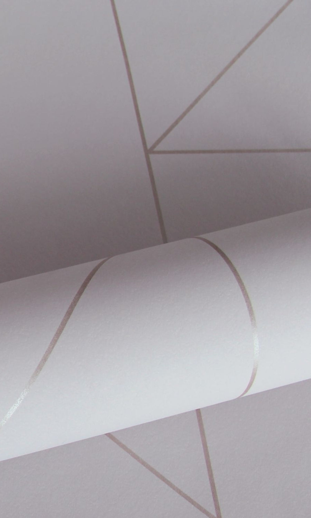 Beige Graphic Line Geometric Wallpaper  R8340
