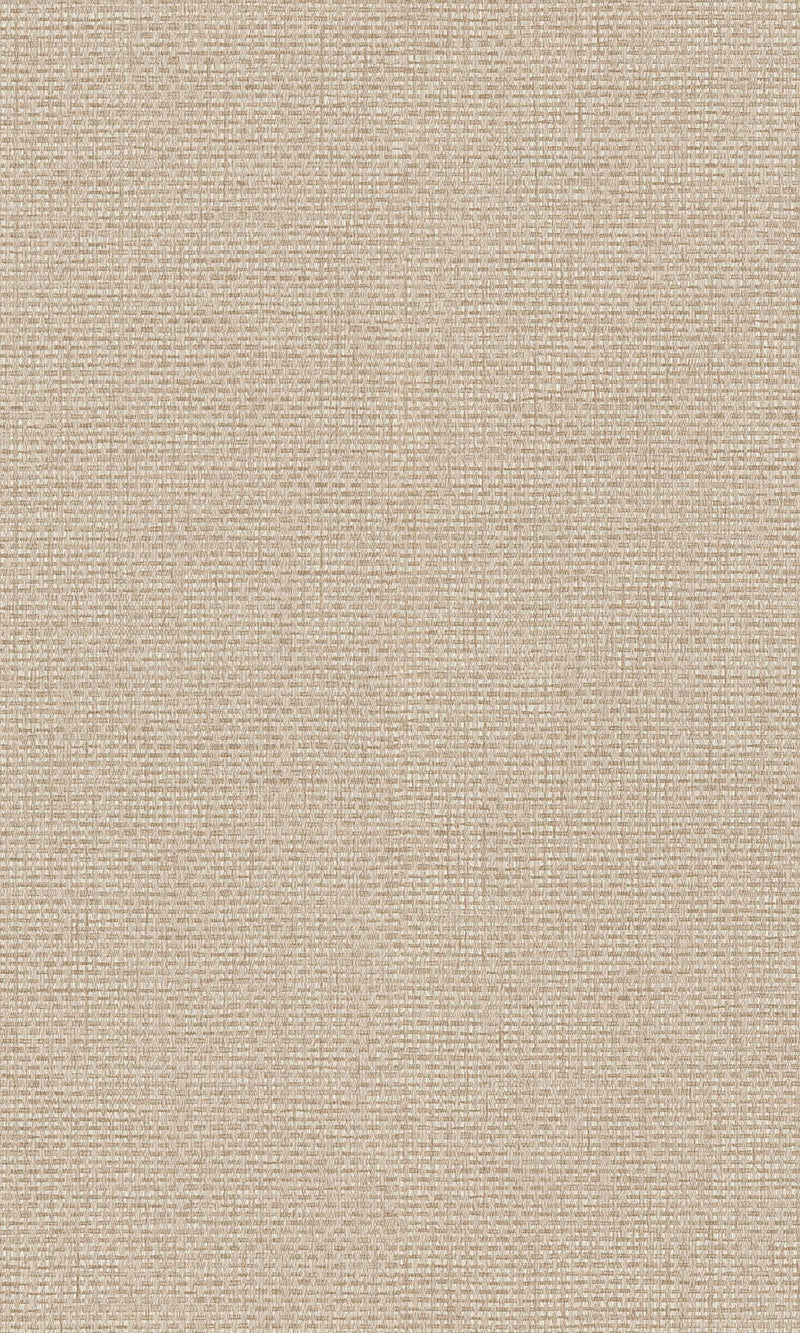 Beige Plain Textured Textile Wallpaper R8631