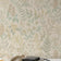Beige (this color)
