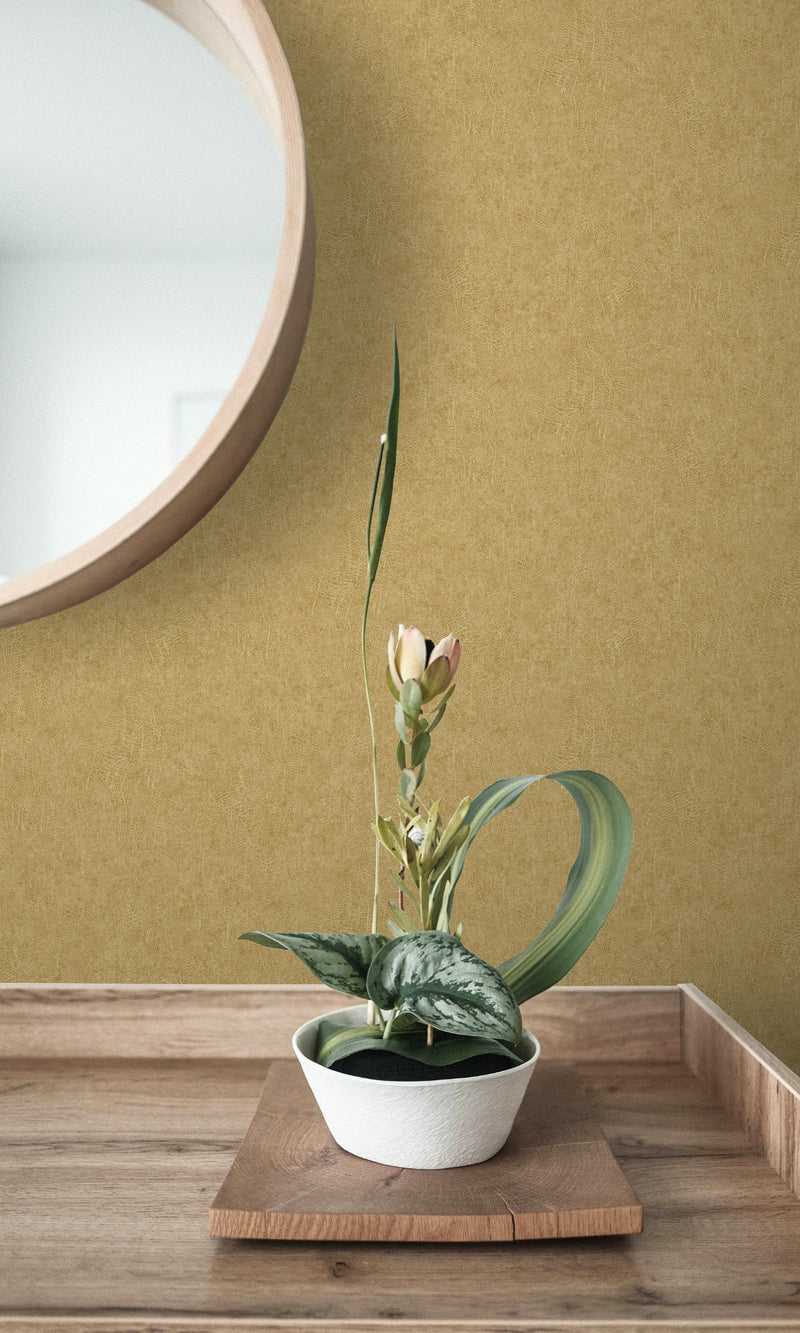 Biscotti Scratched Plain Textured Wallpaper R8535