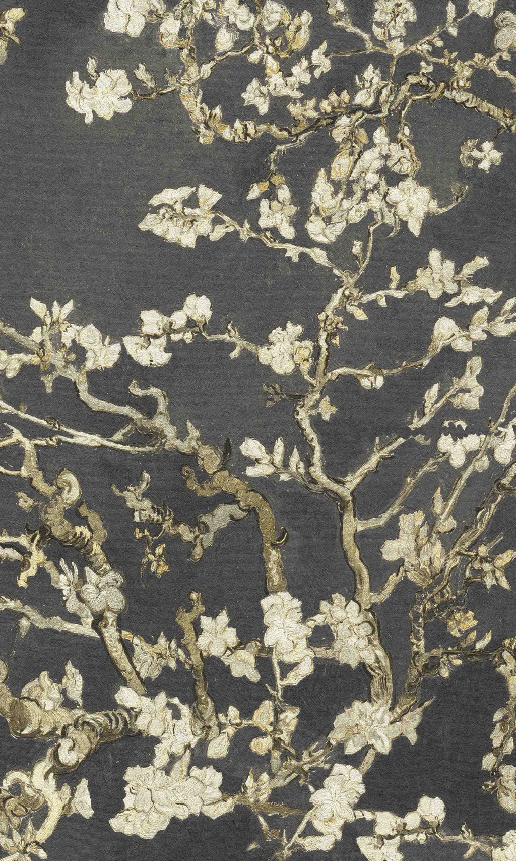 Black  Almond Blossom Floral Wallpaper R8486