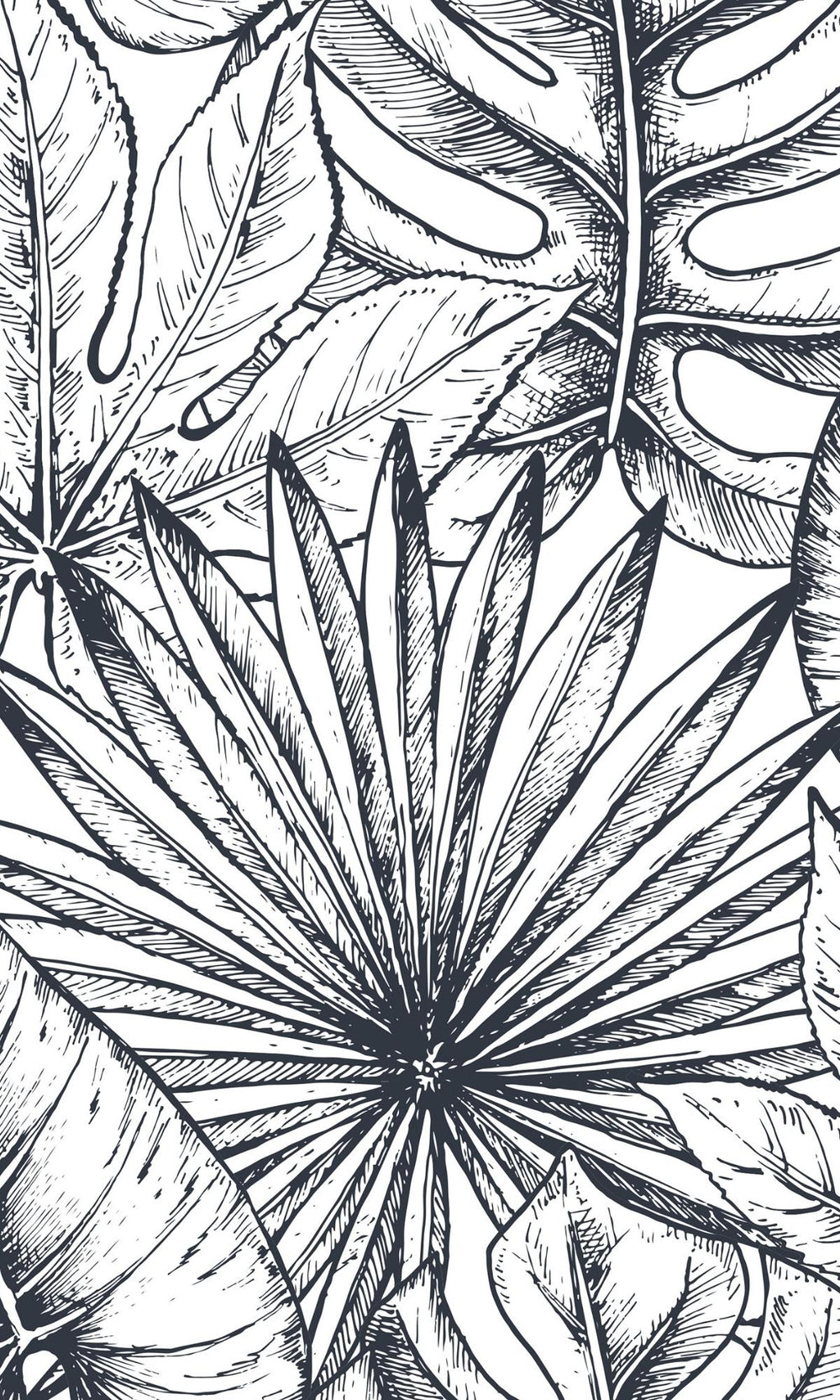 Black And White Sketch of Leaves Wall Mural M1164