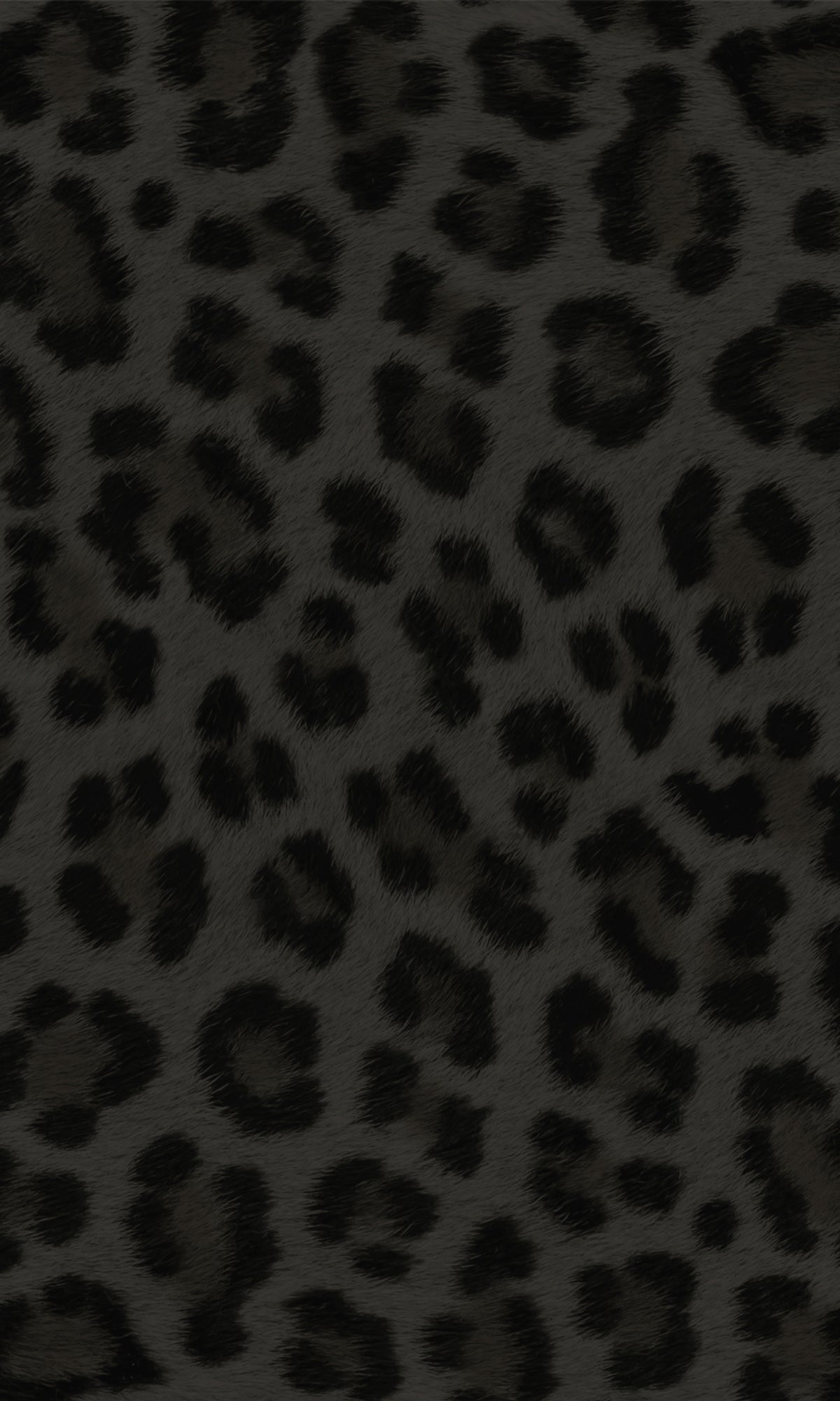 Black Leopard Animal Print Wallpaper R8324 Walls Republic US
