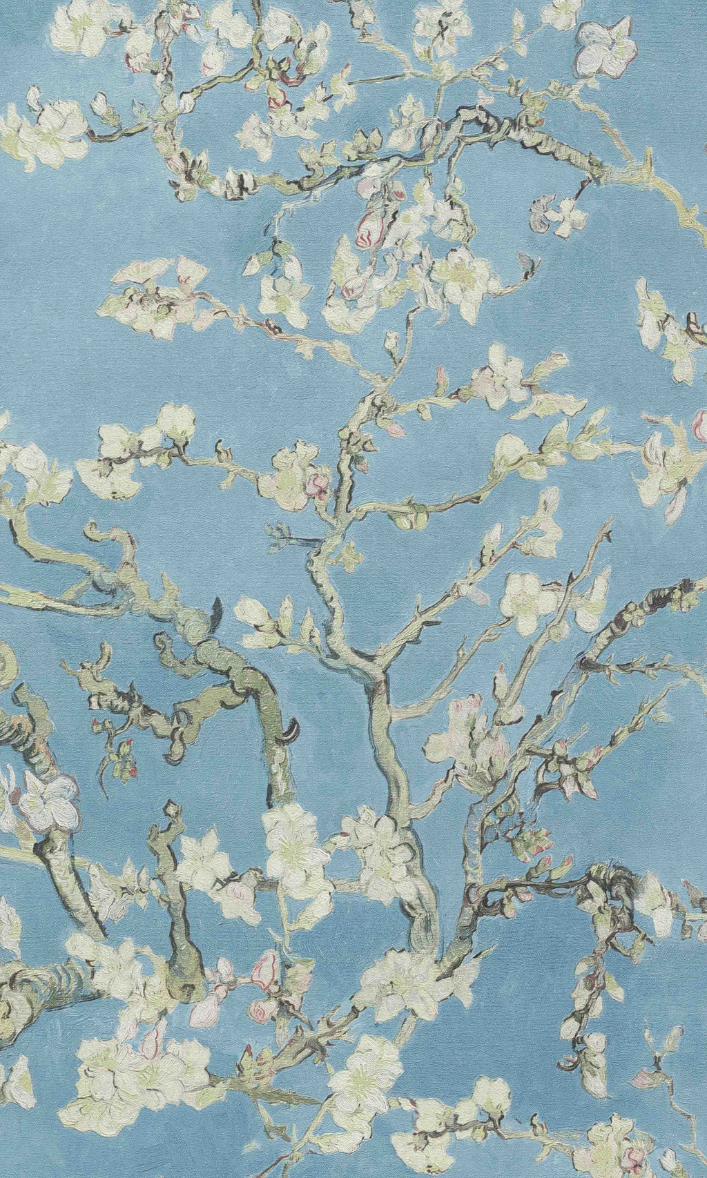 Blue Almond Blossom Floral Wallpaper R8482
