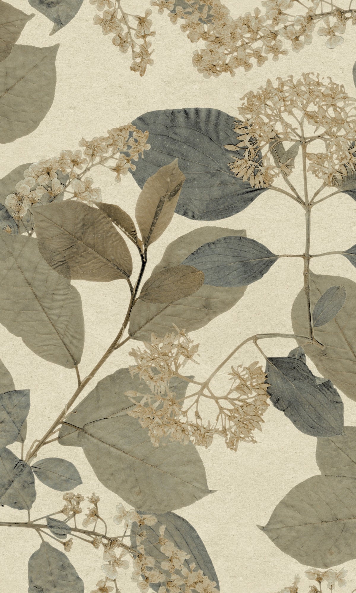 Blue Beige Tropical Leaves Wallpaper R9131