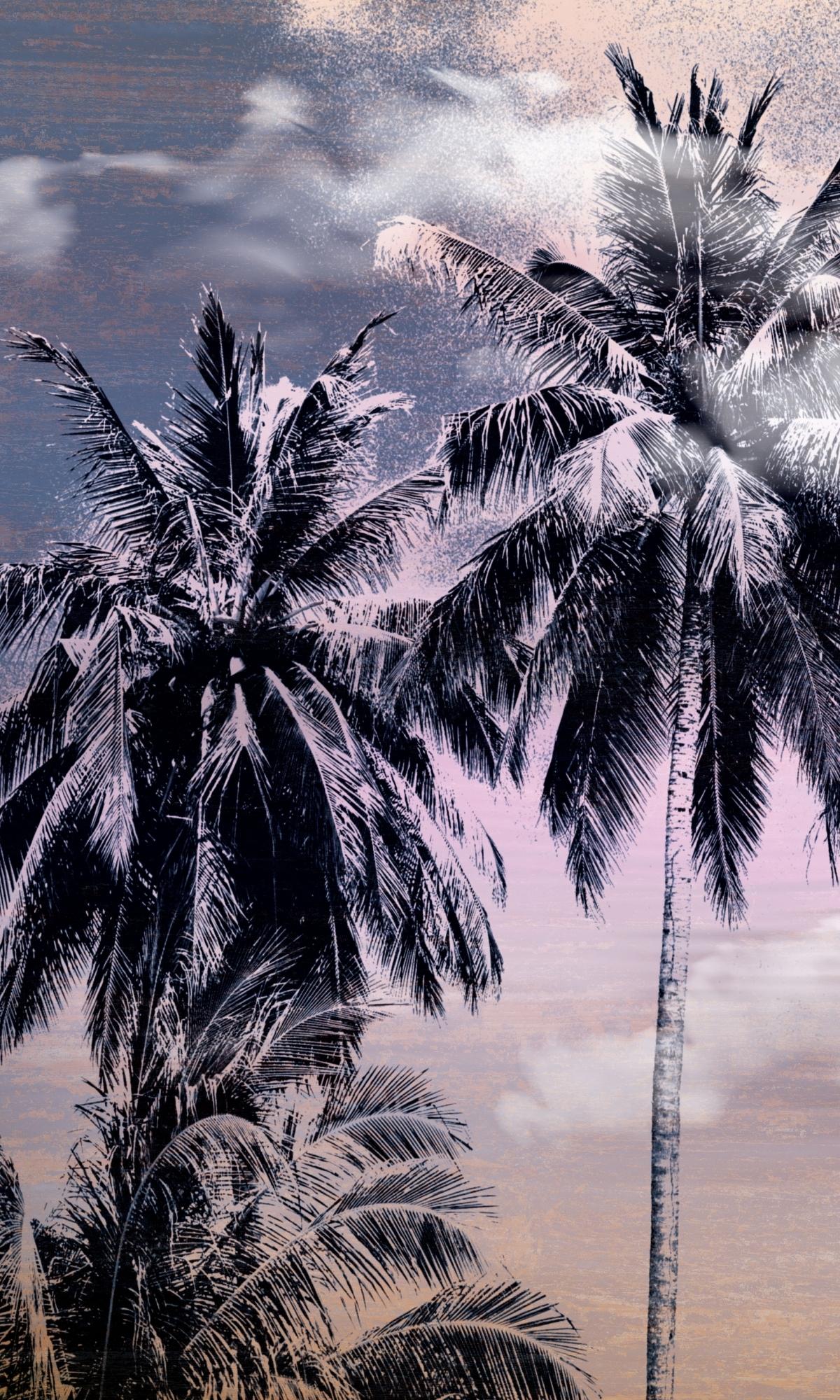 Blue Turquoise sky and Palms Mural Wallpaper M1143-Sample