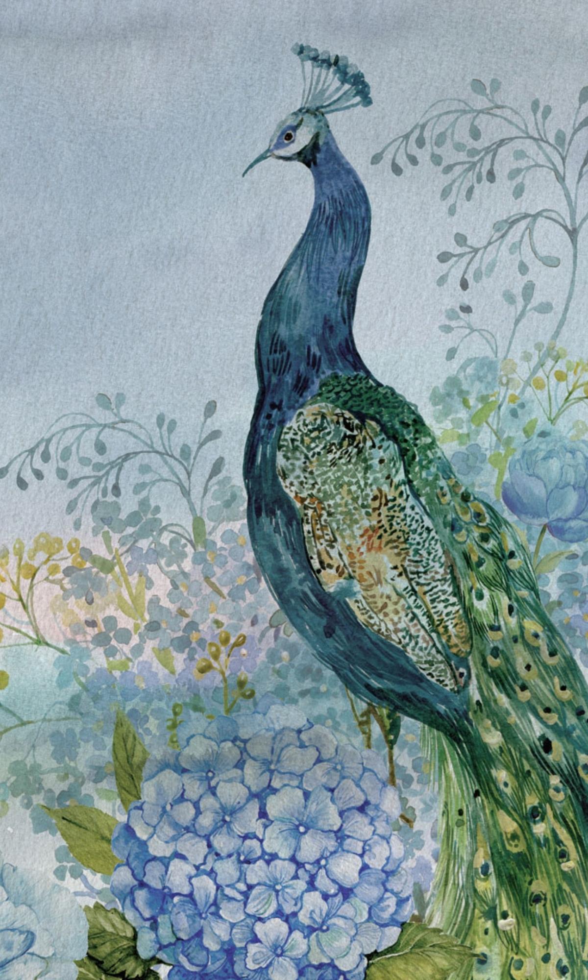 Blue Peacock in the Flower Garden Mural Wallpaper M1155-Sample