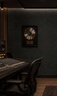 Black Grasscloth Commercial Wallpaper C7541