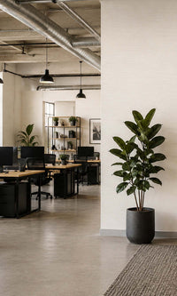 Seeding Horizontal Line Textured Vinyl Commercial Wallpaper C7551