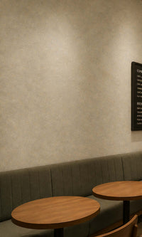 Desert Shine Scratched Concrete Vinyl Commercial Wallpaper C7574