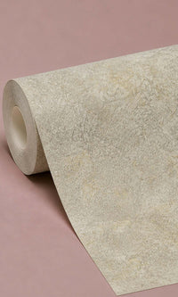 Desert Shine Scratched Concrete Vinyl Commercial Wallpaper C7574