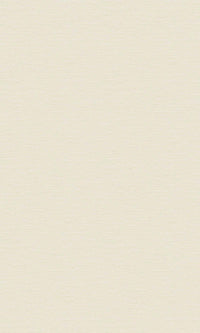 Cream Faux Stone Look Textured Vinyl Commercial Wallpaper C7746
