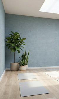 Aerial Faux Handweave Textured Vinyl Commercial Wallpaper C7794