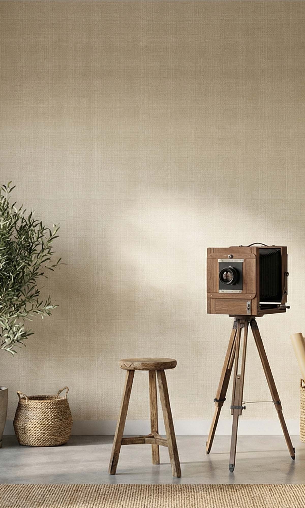 Antique Lace Sheer Weave Commercial Wallpaper C7855 textured commercial wallpaper in antique lace
