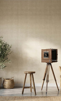 Antique Lace Sheer Weave Commercial Wallpaper C7855 textured commercial wallpaper in antique lace
