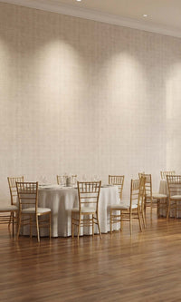 Pumice Stone Sheer Weave Commercial Wallpaper C7858