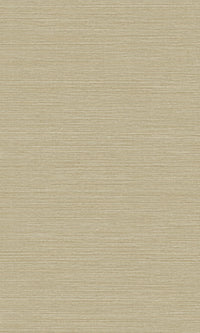 Sandstone Hemp Weave Textured Vinyl Commercial Wallpaper C7693