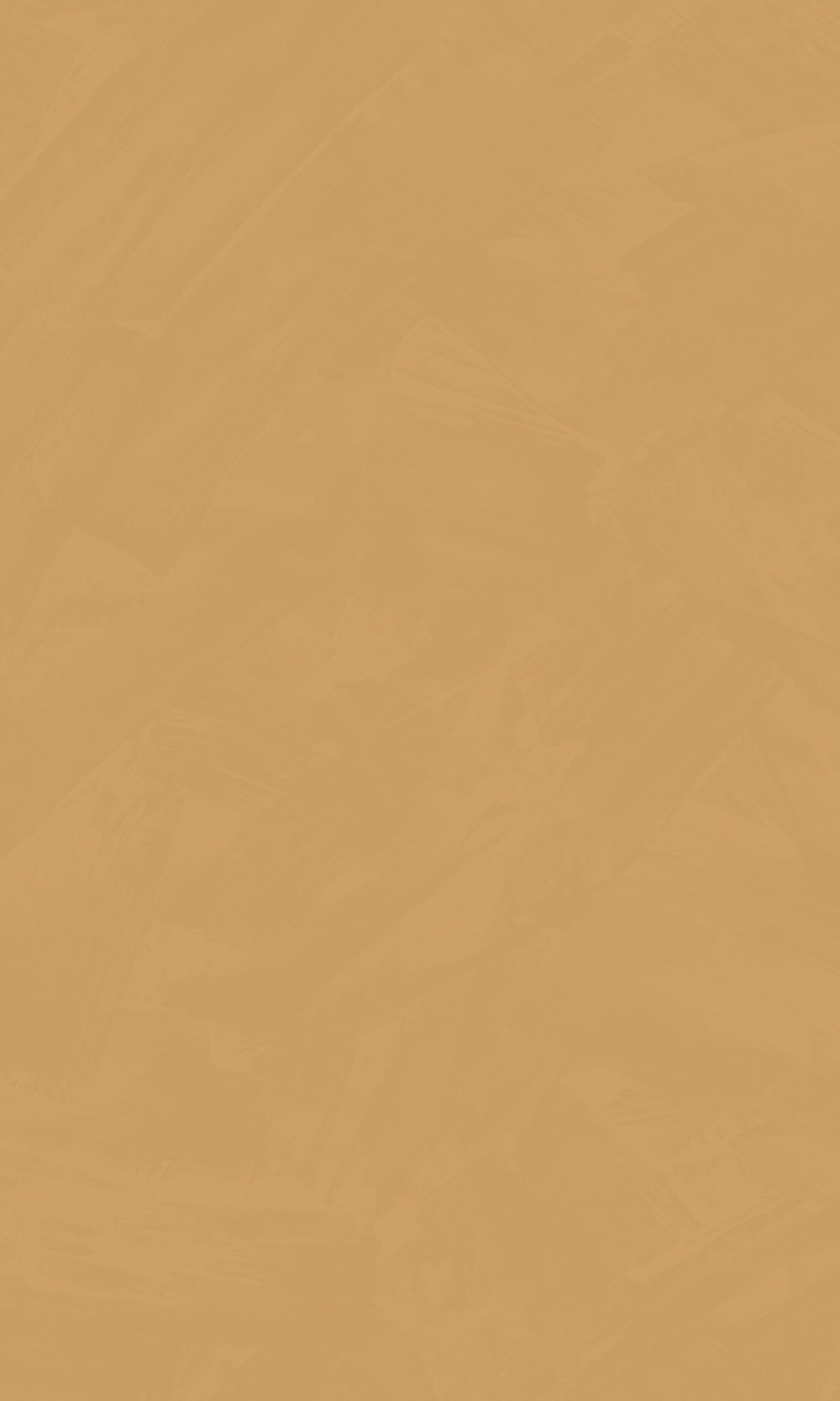 Camel Simple Plain Wallpaper R9163