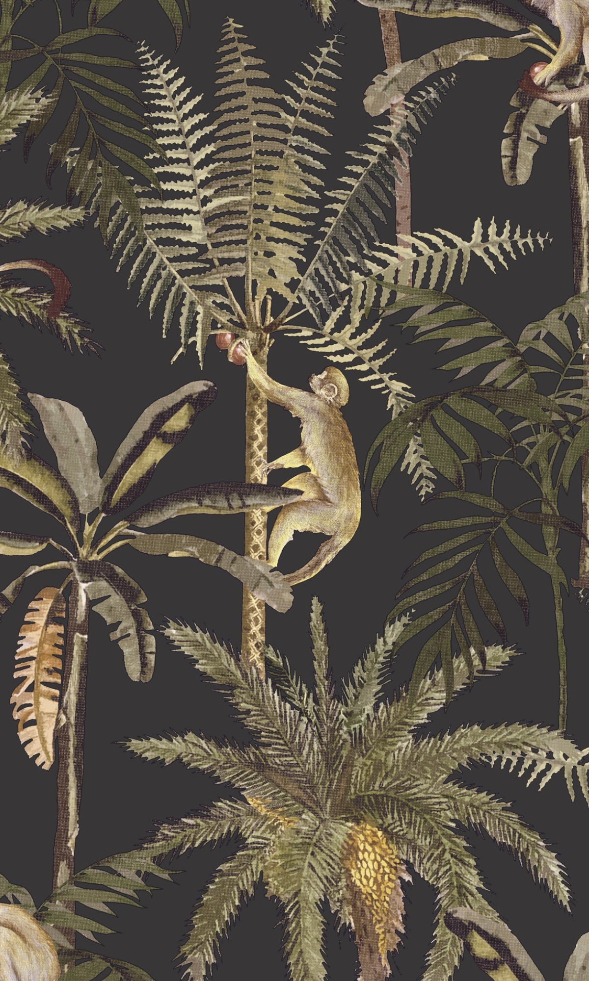 Charcoal Monkey Climbing in the Trees Tropical Wallpaper R8965