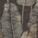 Charcoal (this color)