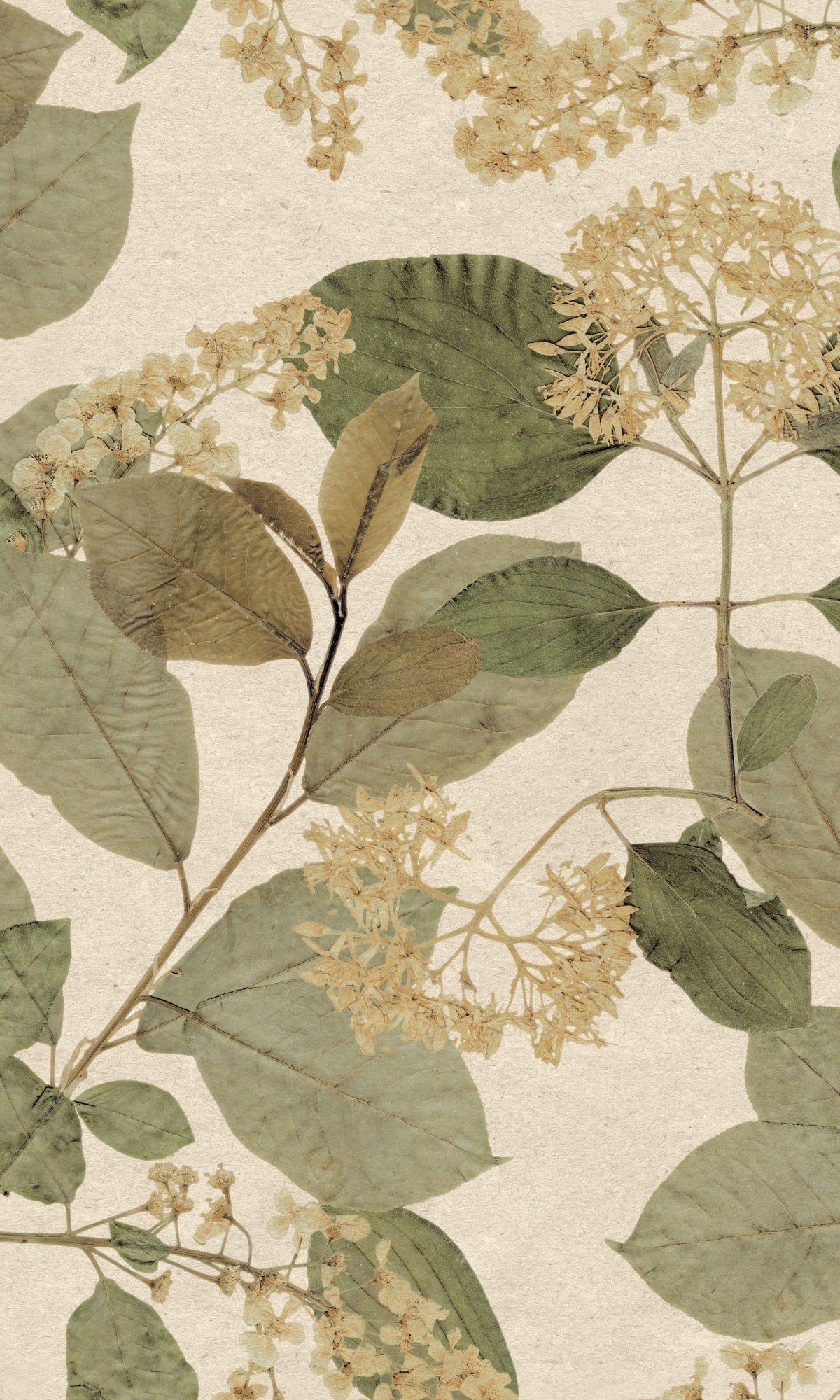 Cream Green Tropical Leaves Wallpaper R9129