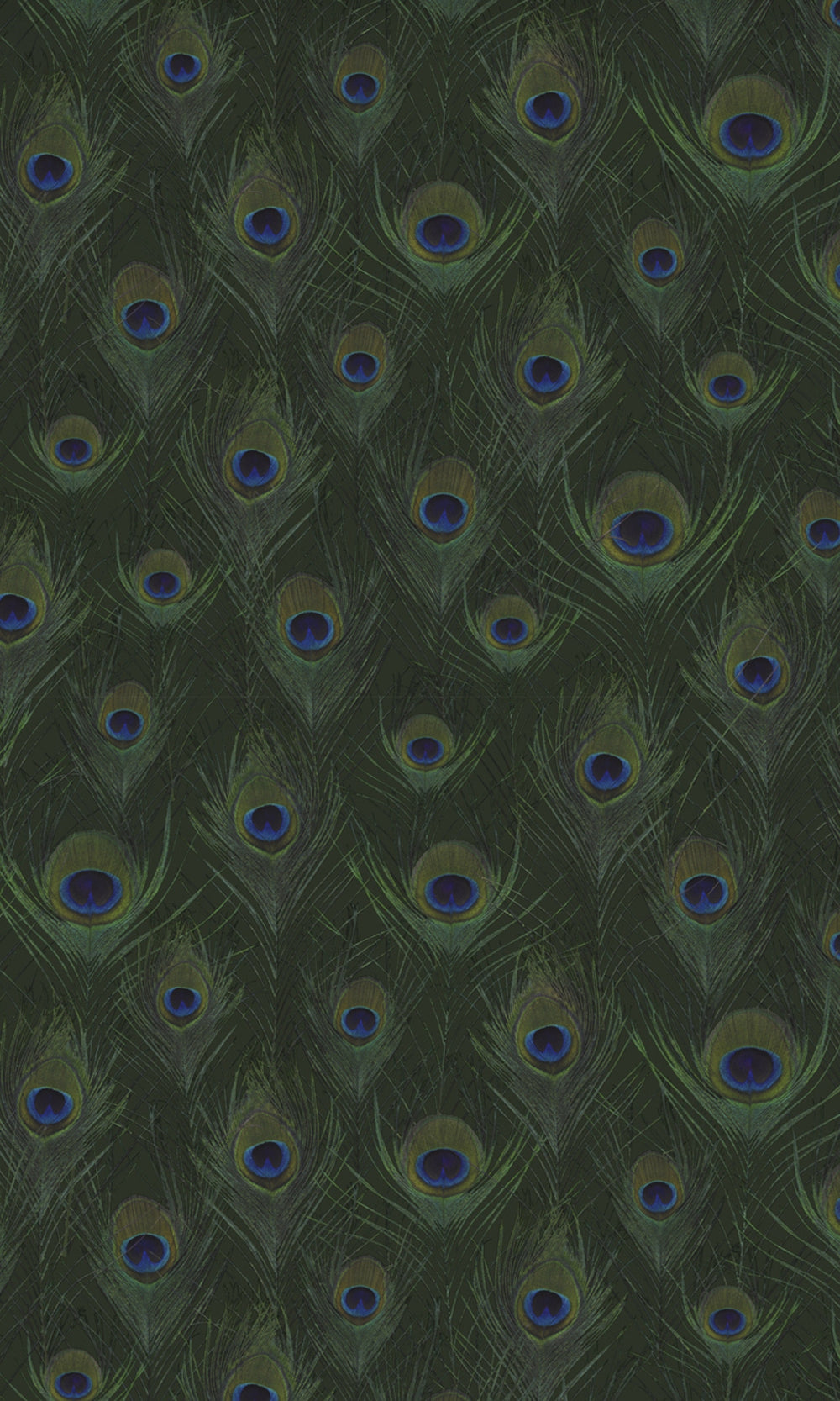 Dark Green Peacock Wings Animal Print Wallpaper R8299