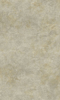 Desert Shine Scratched Concrete Vinyl Commercial Wallpaper C7574