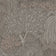 Graphite (this color)