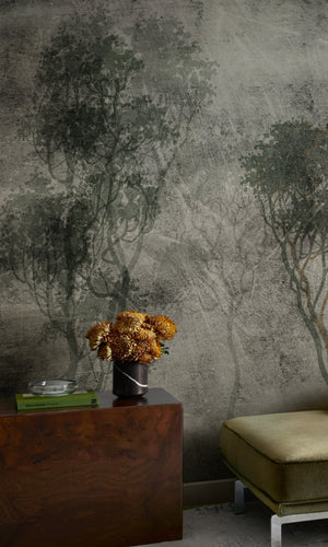 Gray Shadow of the trees on Concrete Mural Wallpaper M1246