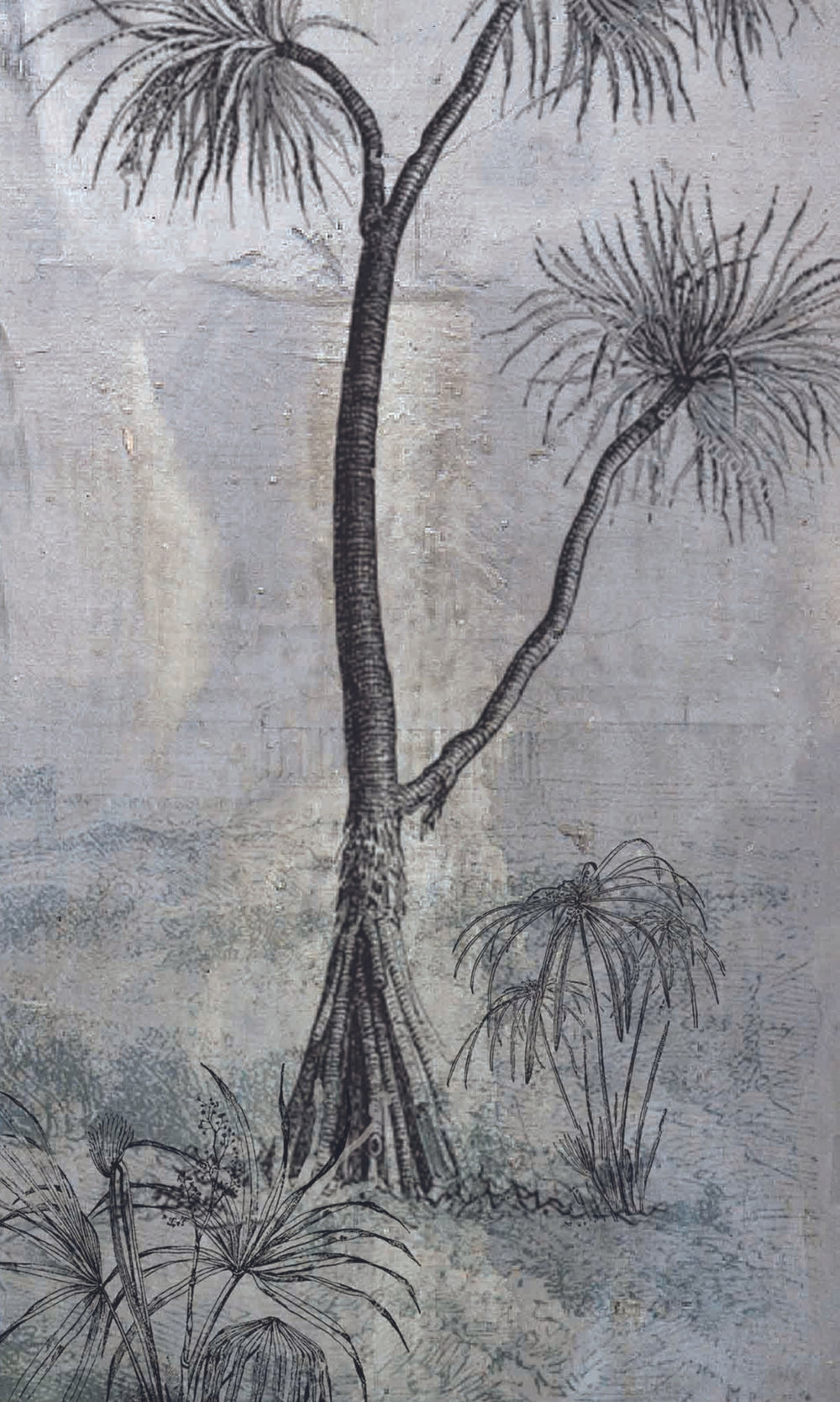 Gray Strange tropical Trees Wall Mural M1174