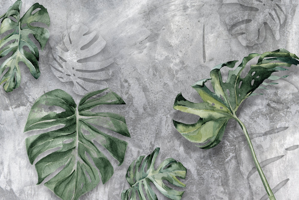 Gray & Green Tropical leaves on Concrete Mural Wallpaper M1224