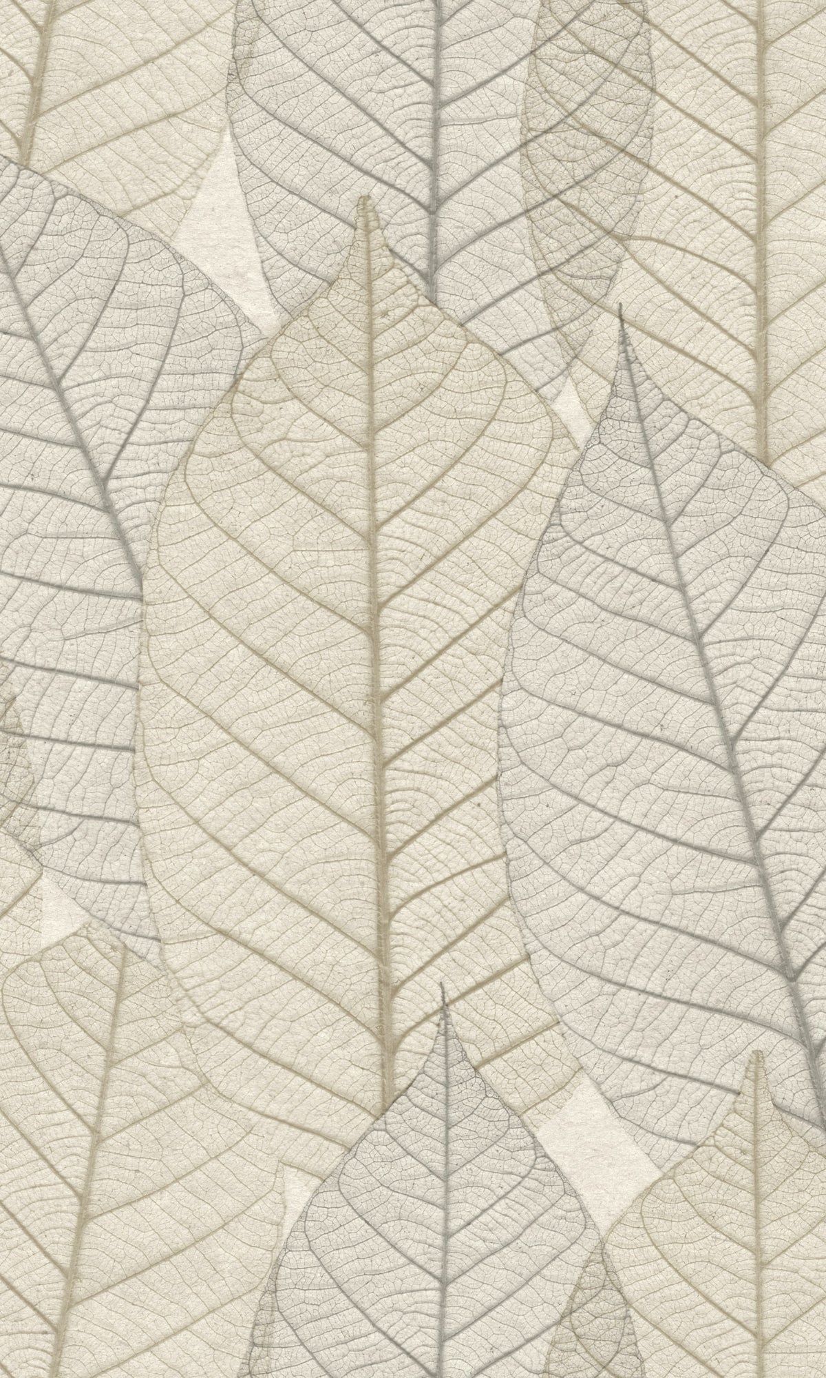 Greche Botanical Dry Leaves Veins Wallpaper R9137
