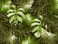 Green Dark Watercolour Leaves Mural Wallpaper M1296