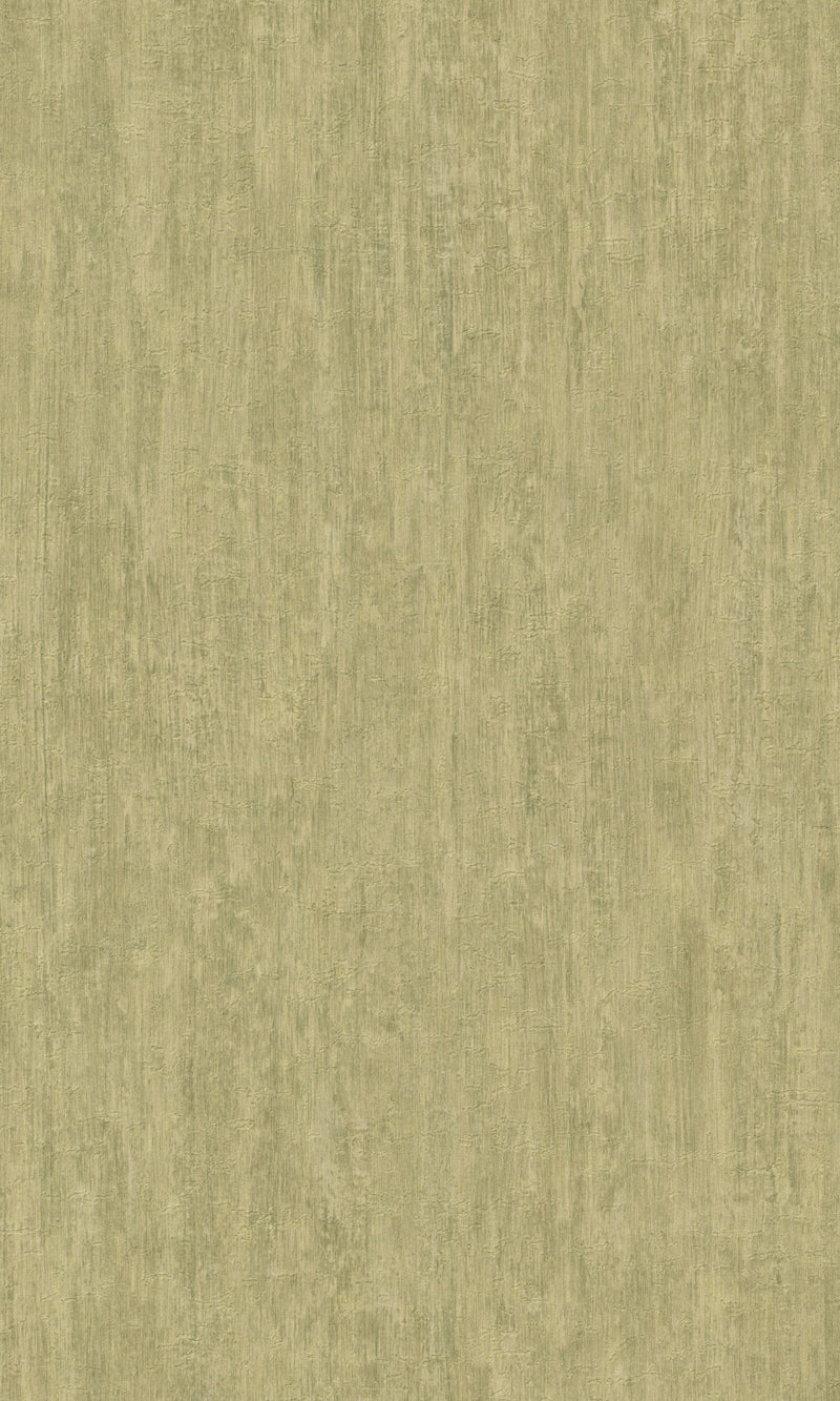 Green Plain Textured Wallpaper R8711