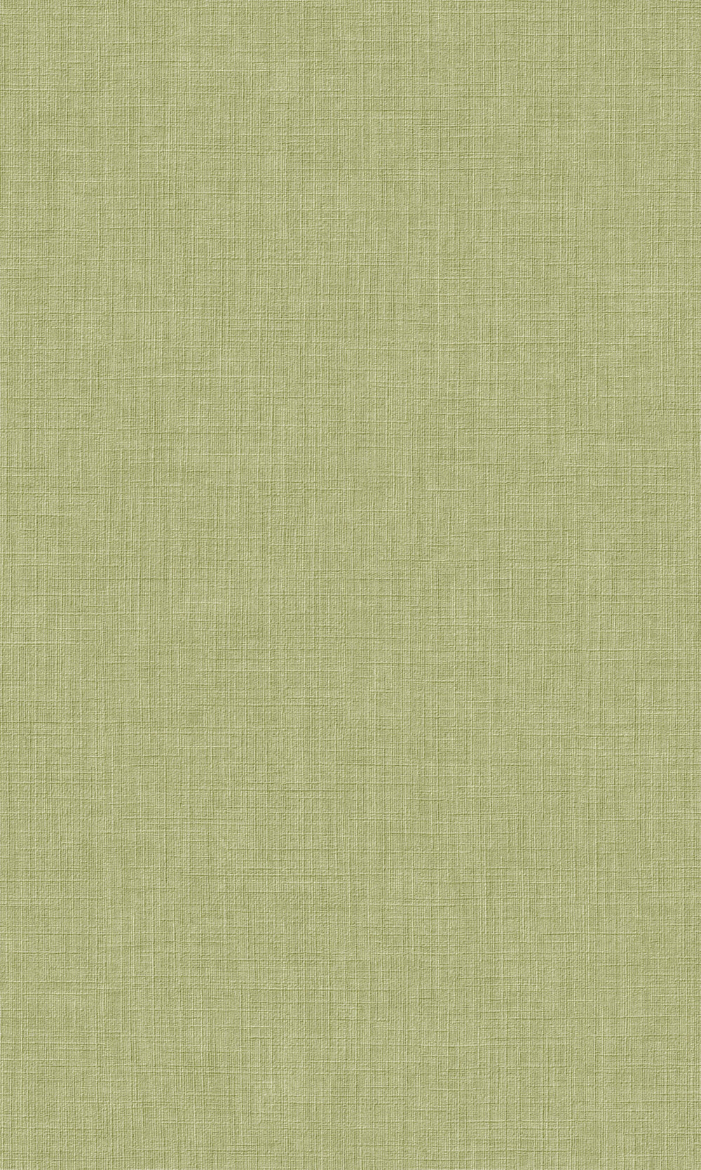 Green Plain Textured Wallpaper R9233