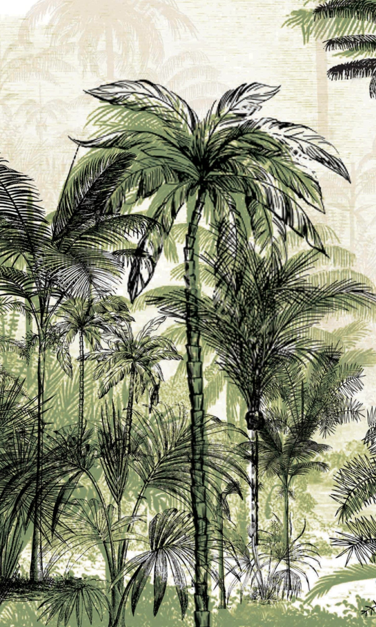 Green Tall Coconut Trees Mural Wallpaper M1179-Sample
