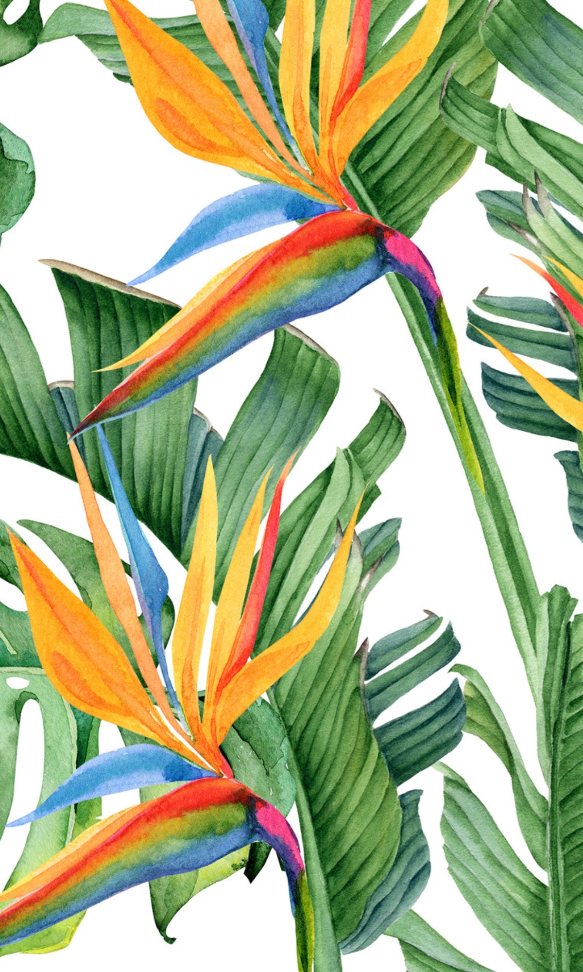 Green Tropical Flowers Mural Wallpaper M1193-Sample