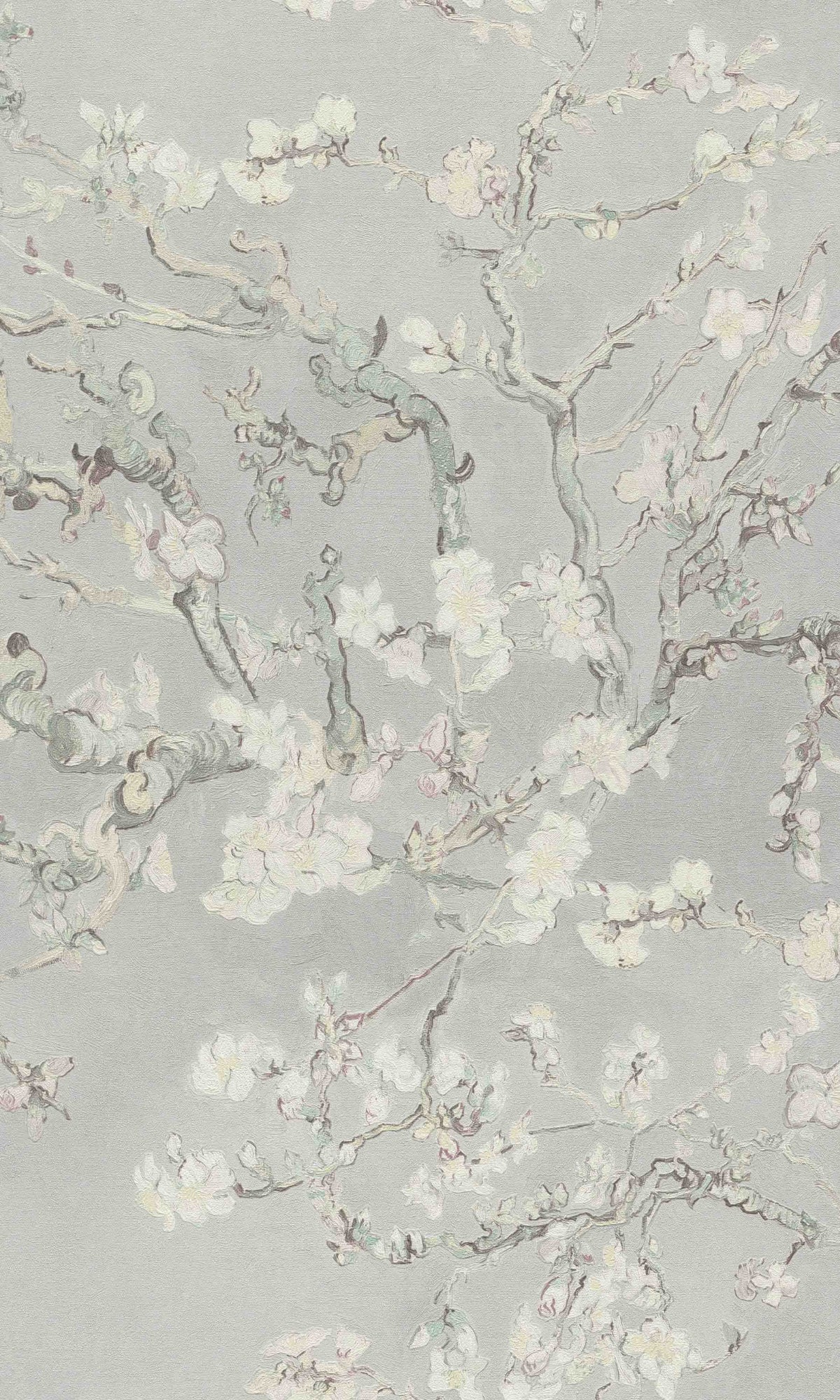 Grey  Almond Blossom Floral Wallpaper R8488