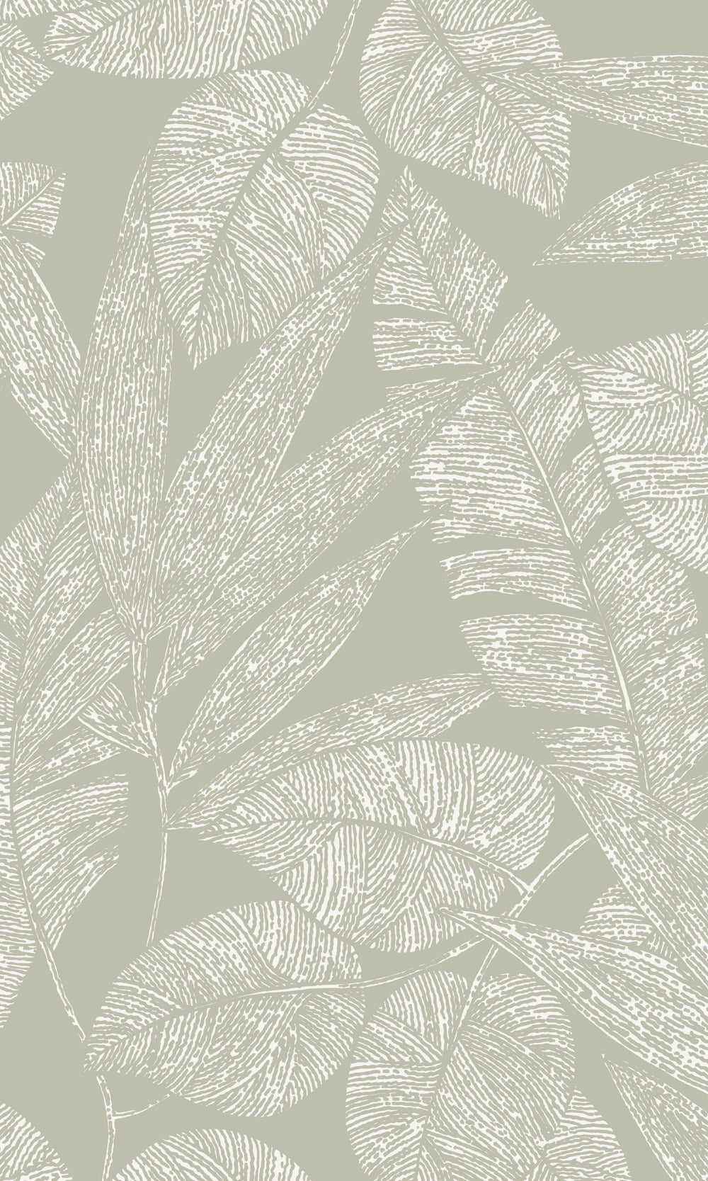 Grey Digital Leaf Outline Botanical Wallpaper, banana leaf backdrop, banana leaf wallpaper, banana leaf wallcovering, banana leaves wallpaper, banana leaf wallpaper for home, banana leaf background, banana leaves wallpaper walls, banana leaves wallpaper for walls, banana leaves wallpaper
