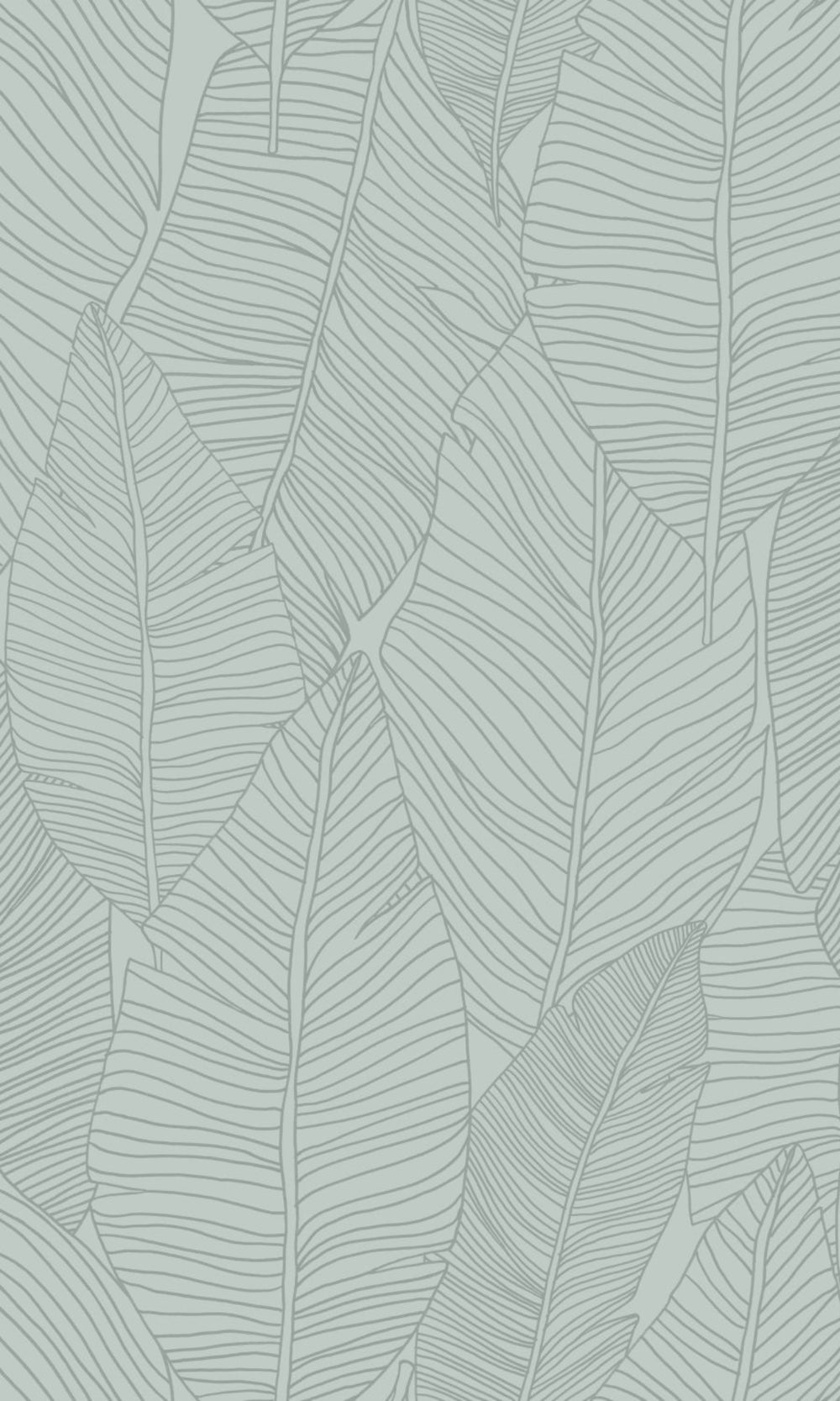 Grey Leaf Outline Abstract Wallpaper, banana leaf backdrop, banana leaf wallpaper, banana leaf wallcovering, banana leaves wallpaper, banana leaf wallpaper for home, banana leaf background, banana leaves wallpaper walls, banana leaves wallpaper for walls, banana leaves wallpaper