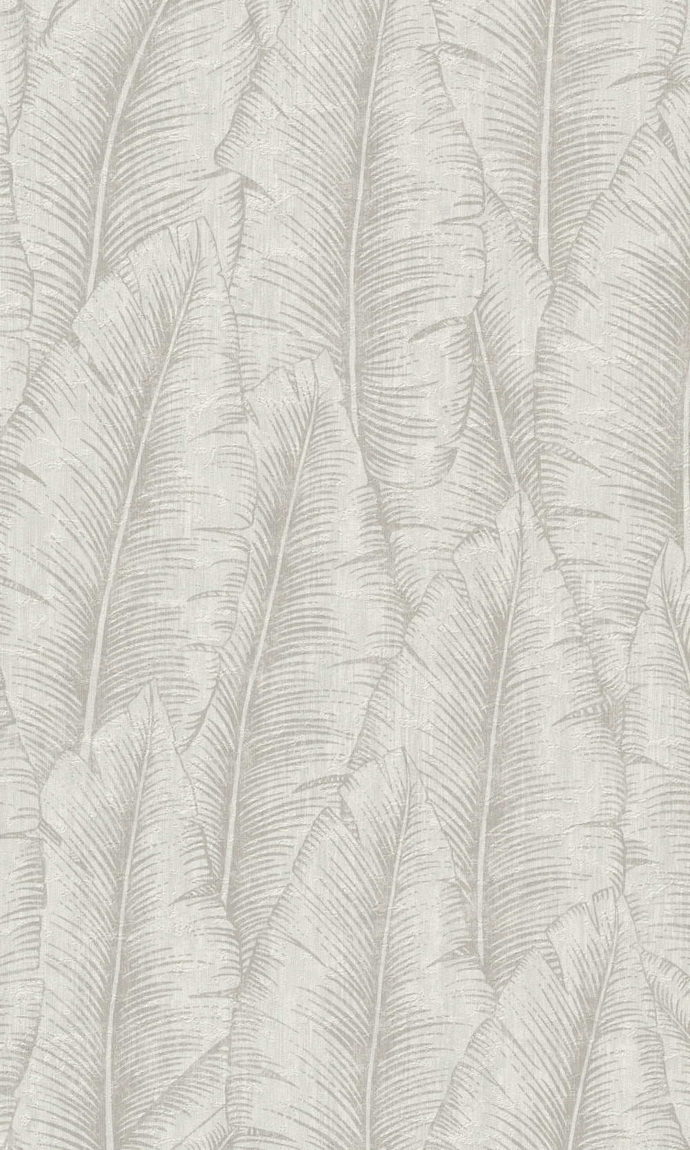 Grey Tropical Leaves Botanical Wallpaper R8731
