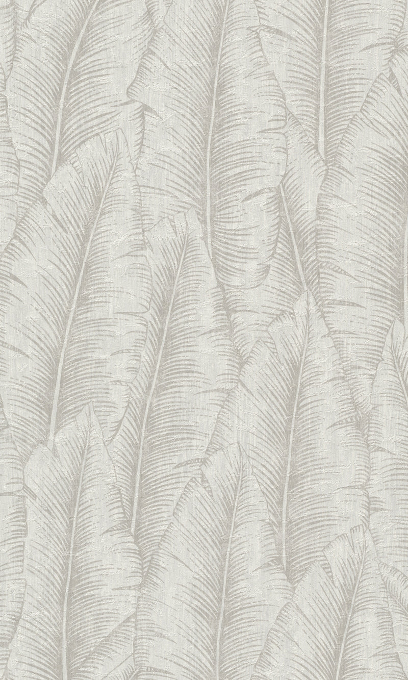 Grey Tropical Leaves Botanical Wallpaper R8731