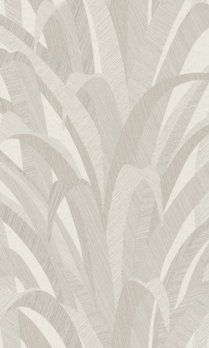 Grey Tropical Palm Leaves Wallpaper R8720