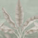 Balsam Green