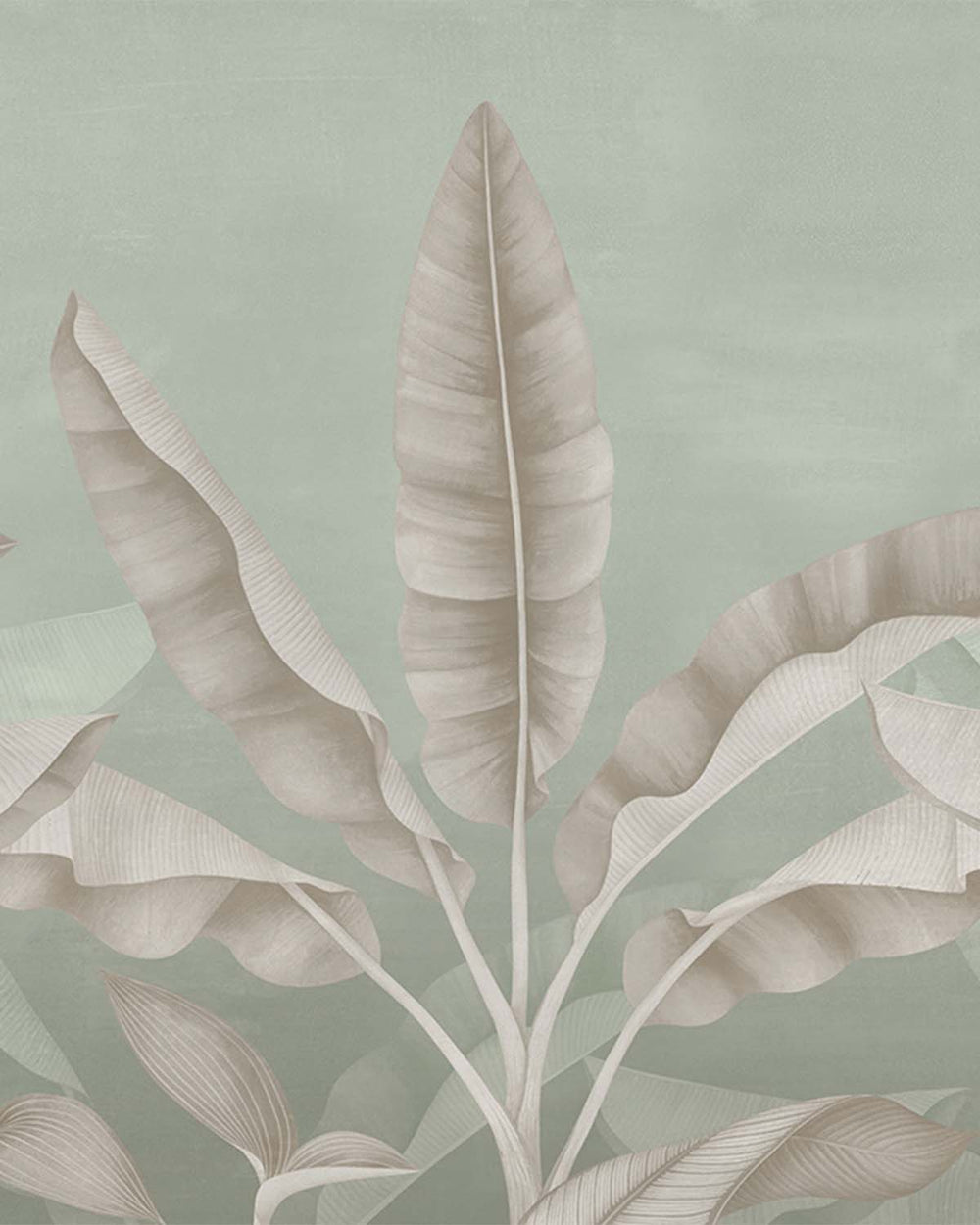 Balsam Green Tropical Banana Fringe Mural M2901- Sample