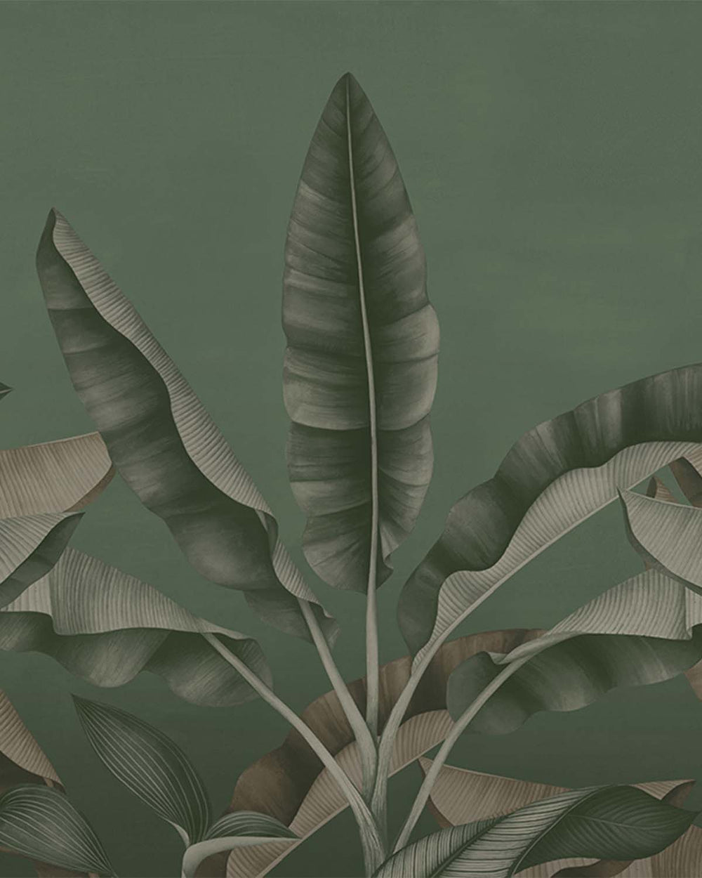 Wet Aloeswood Tropical Banana Fringe Mural M2902