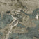 Dawnstone (this color)