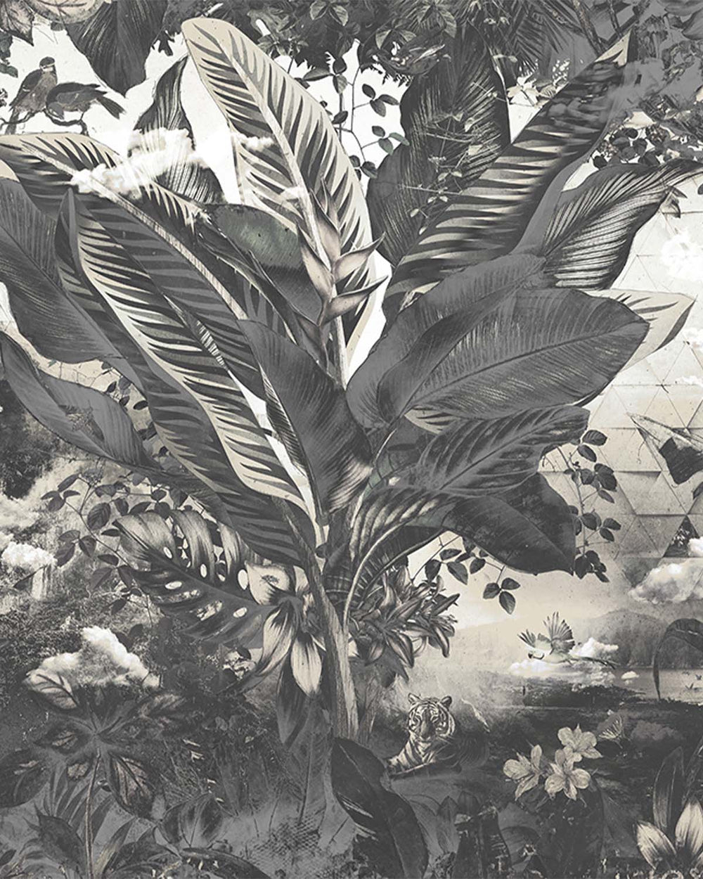 Frost Grey Tropical African Jungle Mural M2957